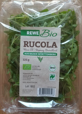 Rucola