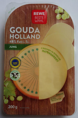 Gouda Holland