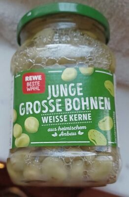 Junge grosse  Bohnen