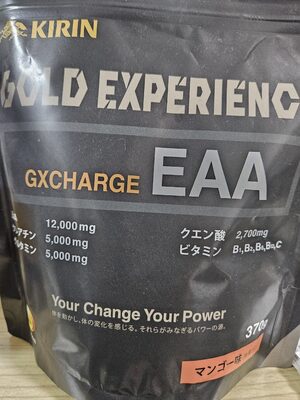 GXCHARGE EAA