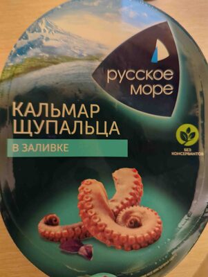 Кальмар Щупальца