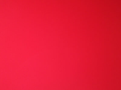 Rukkileib idandatud teradega