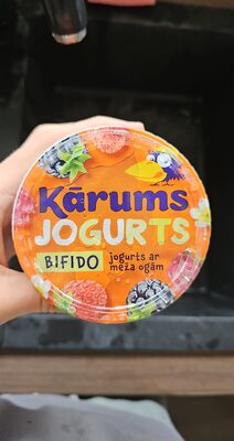 JOGURTS ar  meža ogām