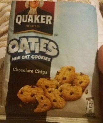 Oaties with chocolate chips cookies