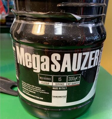 MegaSauzer