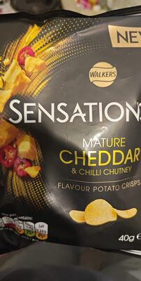 Mature cheddar & chilli chutney