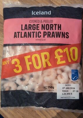 Large North Atlantic Prawns