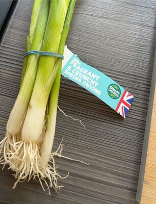 Frangrant Crunch Spring Onion