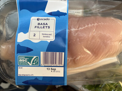 Basa Fillets