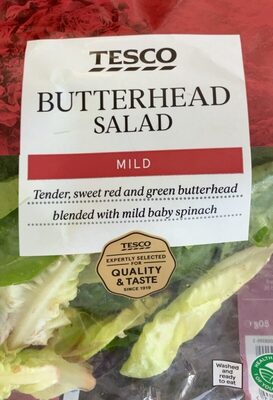 Butterhead Salad