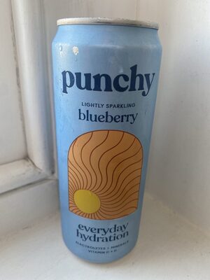 Blueberry Everyday Hydration
