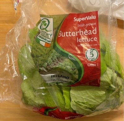 Butterhead lettuce