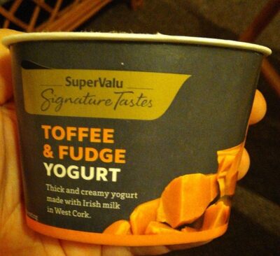 Toffee and Fudge Yogurt