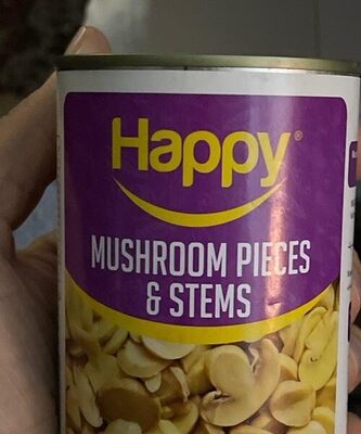 Mushroom pieces & stems