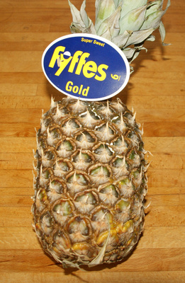 Ananas 'Gold'