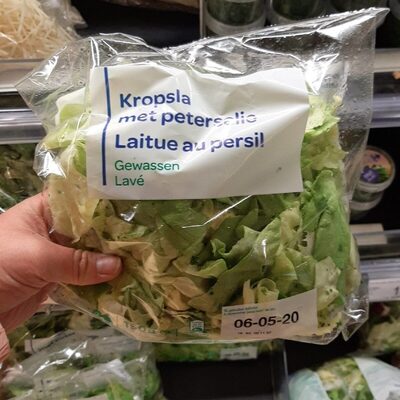 Laitue au persil front packaging
