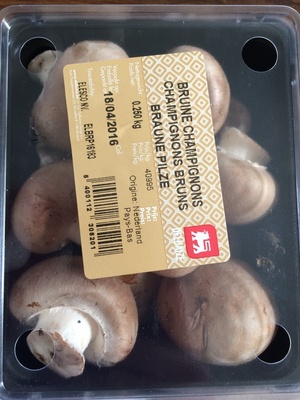 Champignons bruns chataigne