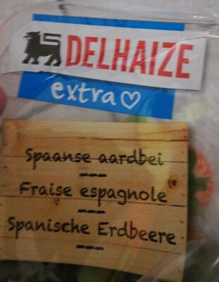 Fraise espagnole