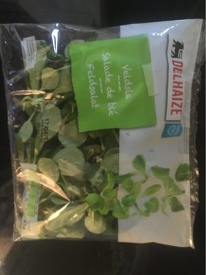 Salade de blé front packaging