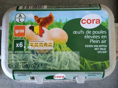 Œufs de Poule élevées plein air