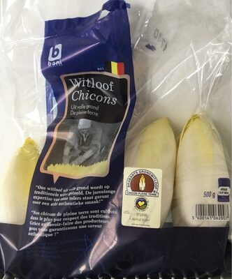 Chicons de pleine terre