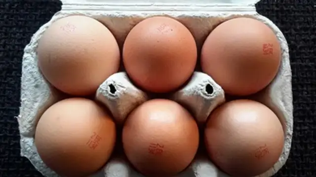 6 Oeufs frais L Élevées au sol front packaging