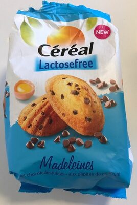 Madeleines met chocoladestukjes