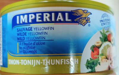 Thon à l huile d olive