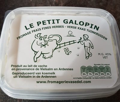 le petit galopin