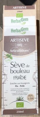 Seve de bouleau fraiche
