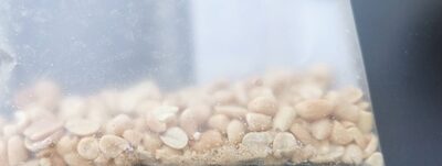 Cacahuètes bio grillées et salées