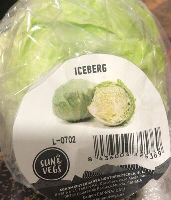 Lechuga iceberg