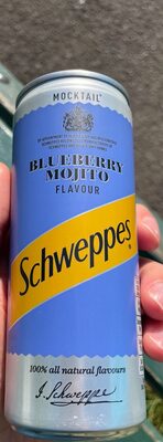 Blueberry Mojito Cocktail