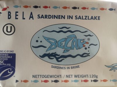 Sardinen in salzlake