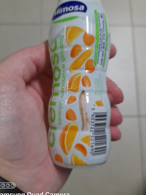 cremoso laranja, cenoura e ginseng