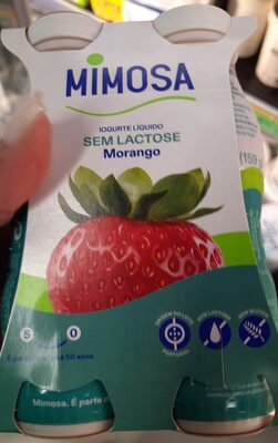Iogurte Líquido sem Lactose Morango