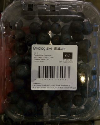Økologiske Blåbær