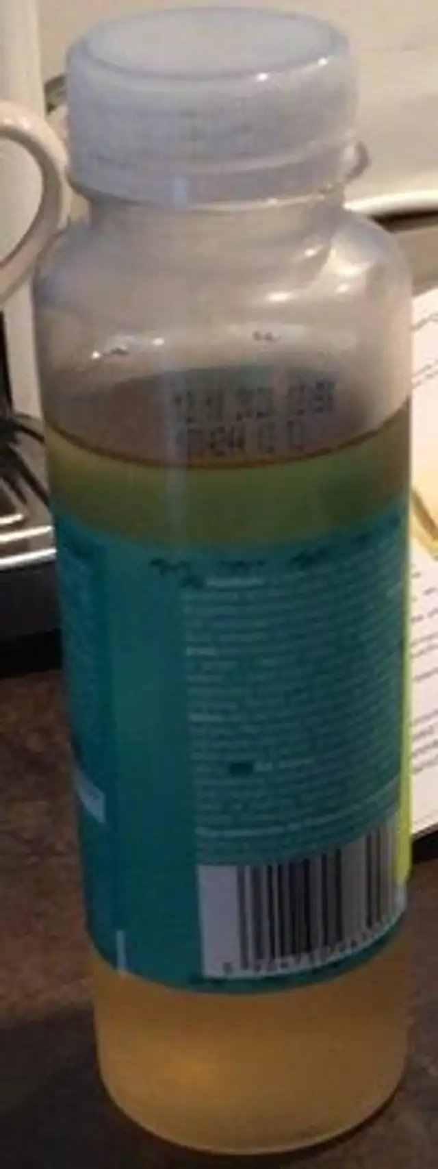 Thé Kombucha Fleur de sureau
