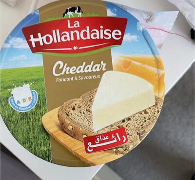 La hollandaise cheddar p64