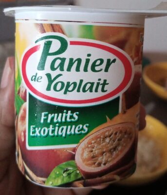 Yaourt morceaux fruits exotiques