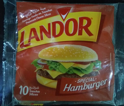 fromage fondu en tranches spécial hamburger