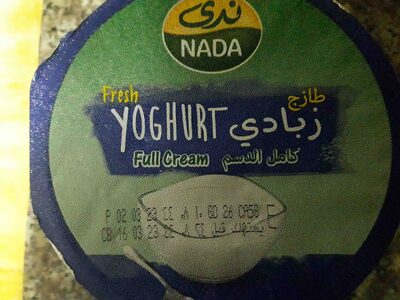 زبادي طازج كامل الدسم