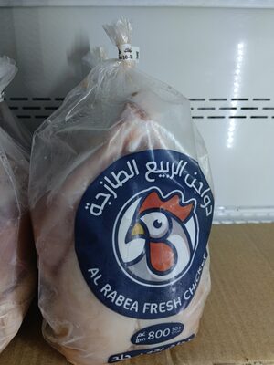 دجاج دواجن الربيع