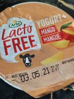 Yogurt mangue lacto free