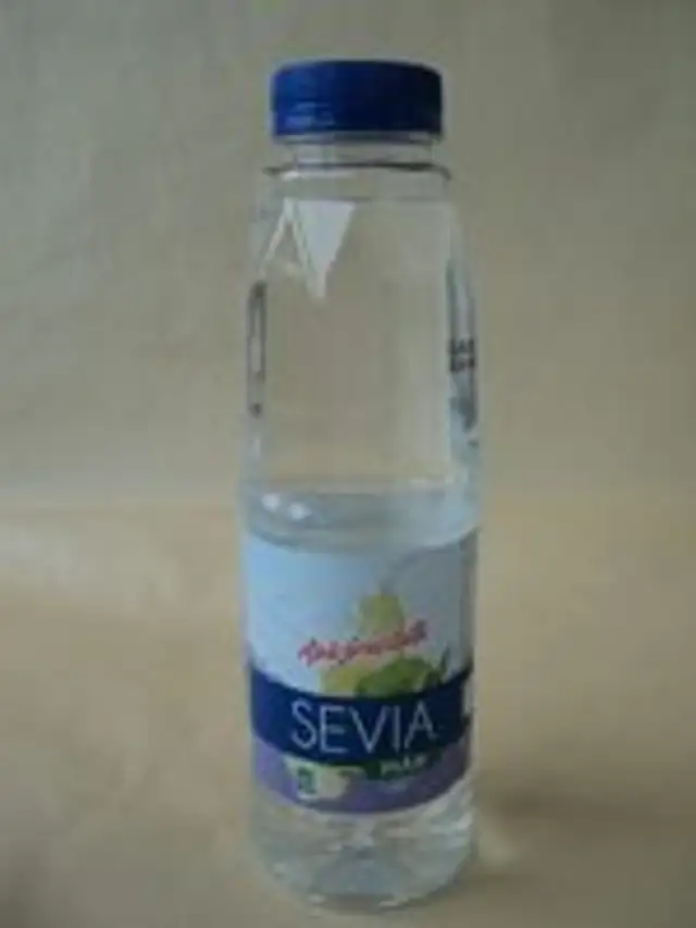 Sevia Apă fructată cu măr