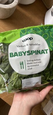 BABYSPINAT