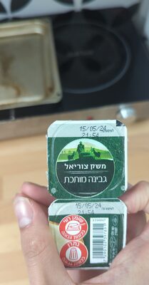 גבינה מותכת