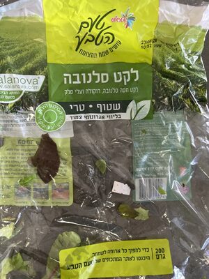 לקט סלנובה, רוקולה ועלי סלק