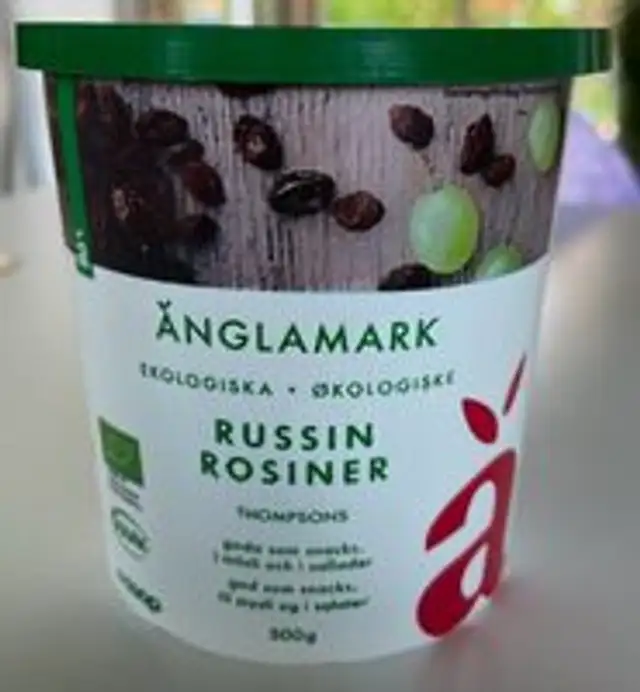 Ekologiska russin