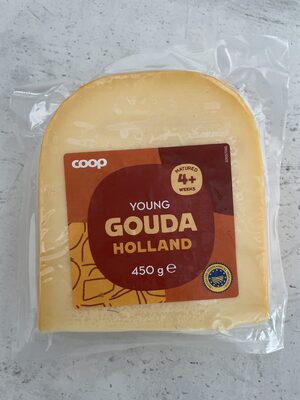 Young gouda Holland